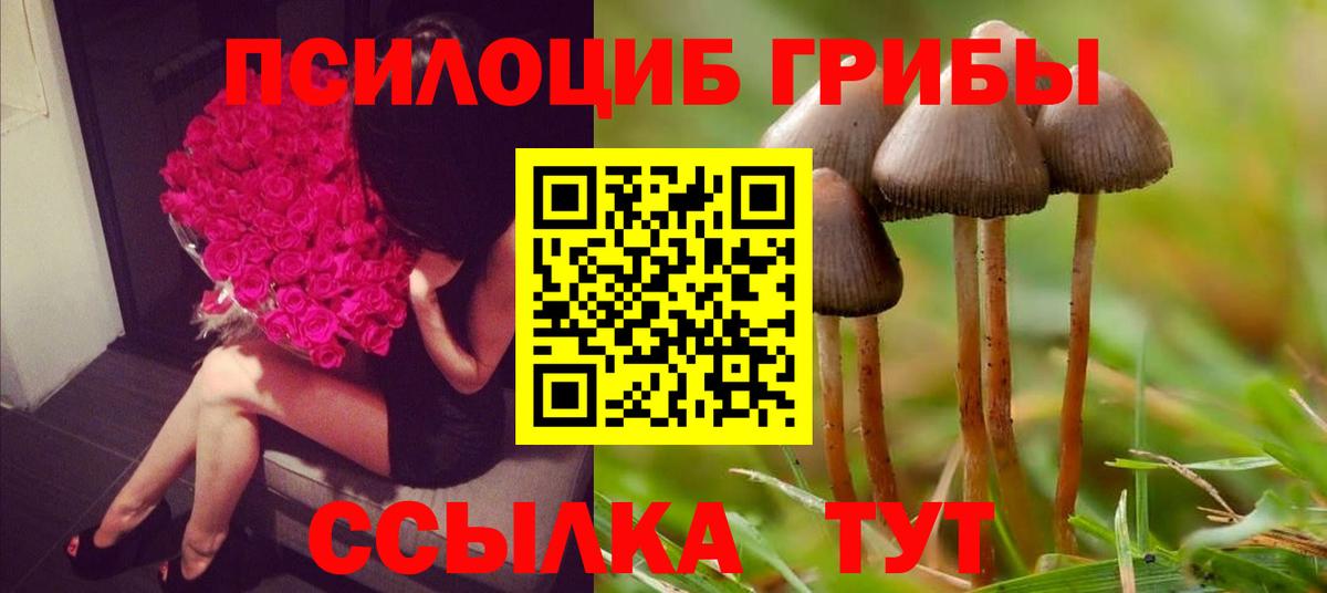 Псилоцибиновые грибы Magic Shrooms Набережные Челны